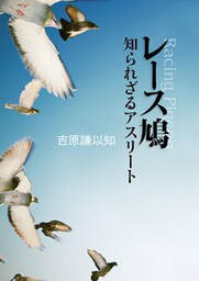 レース鳩 知られざるアスリート