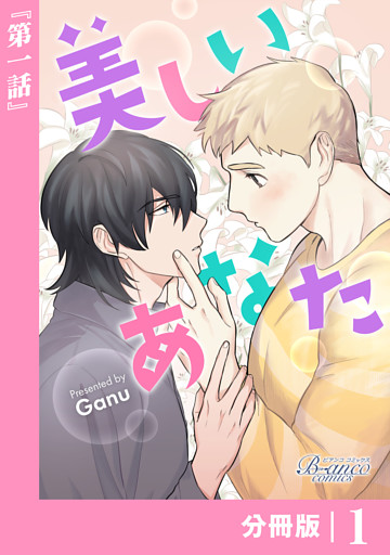 美しいあなた【分冊版】