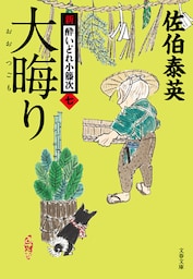 大晦り　新・酔いどれ小籐次（七）