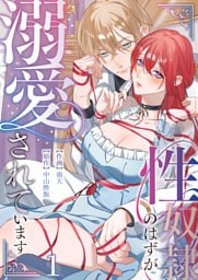 性奴隷のはずが溺愛されています（１）【TL版】
