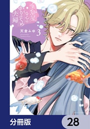 金魚屋さんのかりそめ夫婦【分冊版】　28