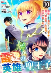 雷霆の英雄と聖王子 ～謀略により追放された口下手な雷は、家族思いで不器用な王子を影から助ける～ コミック版 （分冊版）　【第10話】