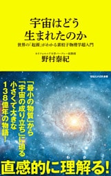 宇宙はどう生まれたのか　世界の「起源」がわかる素粒子物理学超入門（マガジンハウス新書）
