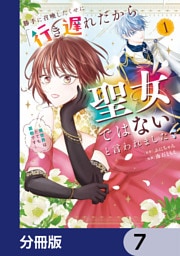 勝手に召喚したくせに「行き遅れだから聖女ではない」と言われました　～異世界はとても面倒です～【分冊版】　7