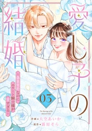 愛し子の結婚～偽装契約なのにエリート騎士様が甘すぎる～【電子単行本版／特典おまけ付き】３