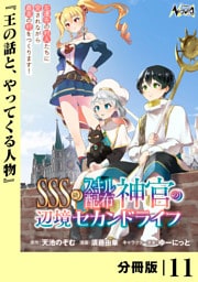 ＳＳＳ級スキル配布神官の辺境セカンドライフ【分冊版】（ノヴァコミックス）１１