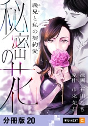 秘密の花～義兄と私の契約愛～ 【分冊版】 20