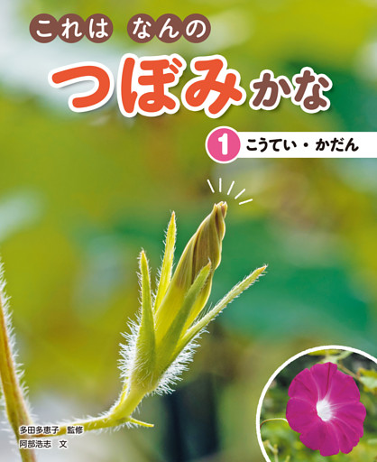 これはなんのつぼみかな