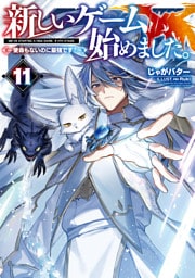 新しいゲーム始めました。～使命もないのに最強です？～11【電子書籍限定書き下ろしSS付き】