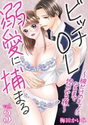 ビッチOL溺愛に捕まる～彼だけのモノになるまで抱かれる夜～（３）