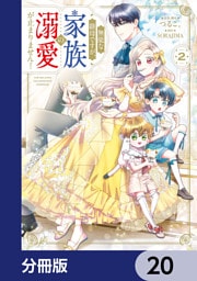 無能な継母ですが、家族の溺愛が止まりません！【分冊版】　20