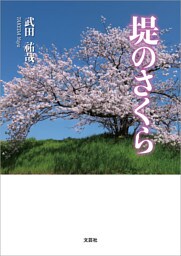 堤のさくら
