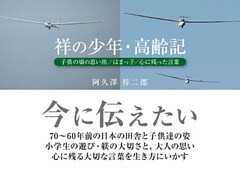 祥の少年・高齢記