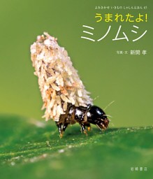 うまれたよ！ ミノムシ