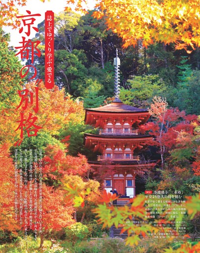 誌上でゆっくり学ぶ・愛でる　京都の“別格”