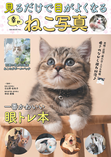 見るだけで目がよくなる幸せねこ写真