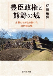 豊臣政権と熊野の城