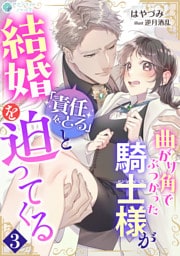 曲がり角でぶつかった騎士様が「責任をとる」と結婚を迫ってくる（３）