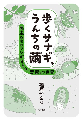 歩くサナギ、うんちの繭〜昆虫たちのフシギすぎる「変態」の世界