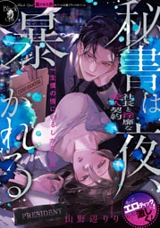 秘書は夜、暴かれる　社長と淫靡な愛人契約