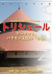 南インド025トリシュール　～ケーララと、バラモン文化の「中心」