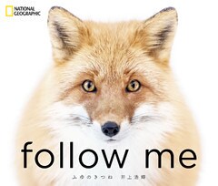 follow me　ふゆのきつね