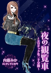 夜の観覧車~エロチックな二十分間~