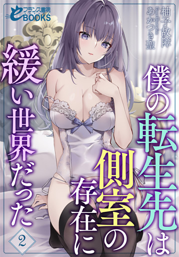 僕の転生先は側室の存在に緩い世界だった２