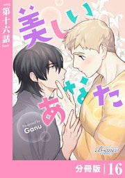 美しいあなた【分冊版】16（ビアンココミックス）