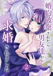 婚約破棄されたら男友達から求婚されました 2巻