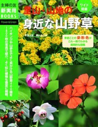 ワイド図鑑 里山・山地の身近な山野草
