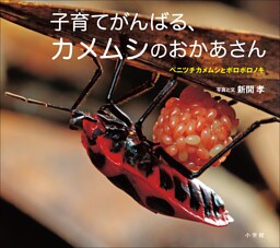 子育てがんばる、カメムシのおかあさん　～ベニツチカメムシとボロボロノキ～（小学館の図鑑ＮＥＯの科学絵本）