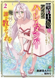聖騎士の俺が好きになったヒロインが続々とアイツのハーレムメンバーになってしまうんだけど俺の何がいけないのか誰か教えてくれ！！ （2）