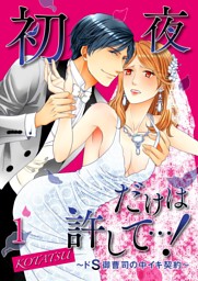初夜だけは許して ドs御曹司の中イキ契約 2巻 電子書籍 コミック 小説 実用書 なら ドコモのdブック