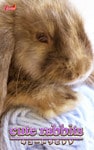 cute rabbits03 ミニロップ