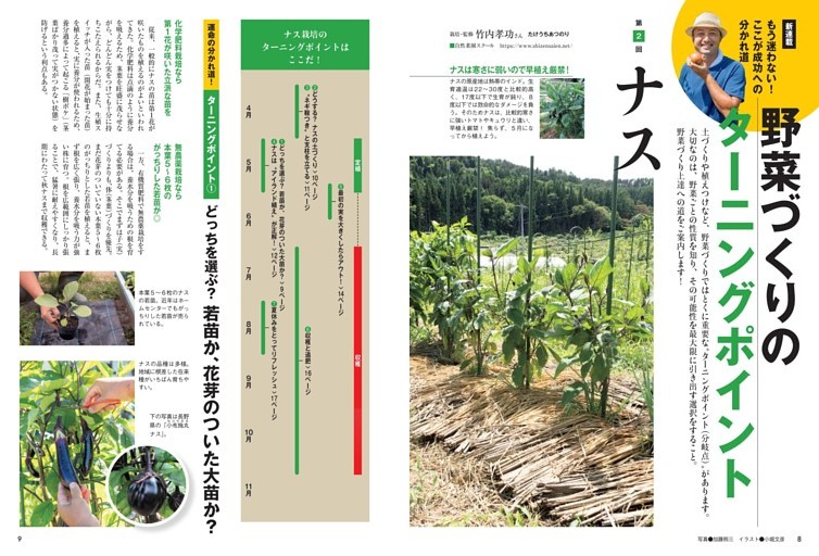 第2回 もう迷わない！ここが成功への分かれ道 野菜づくりのターニングポイント ナス