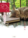 ねこできちゃった!