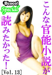 こんな官能小説が読みたかった！vol.13