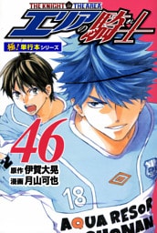エリアの騎士【極！単行本シリーズ】46巻