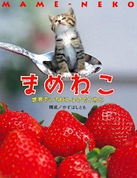 まめねこ　世界でいちばんちいさなこねこ