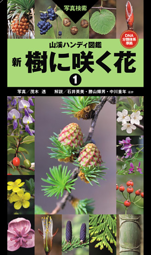山溪ハンディ図鑑 新 樹に咲く花1