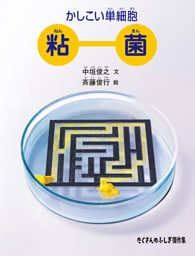 かしこい単細胞 粘菌