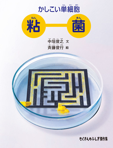 かしこい単細胞 粘菌