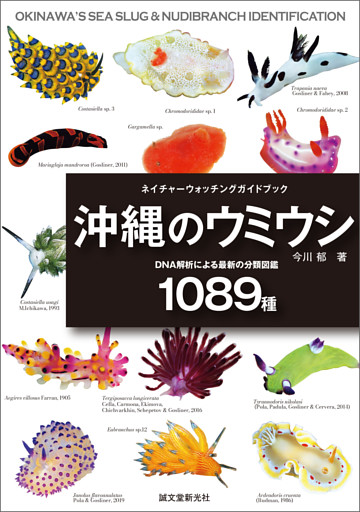沖縄のウミウシ