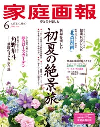 家庭画報 2026年06月号