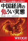 中国経済の危うい実態(WEDGEセレクション No.22)