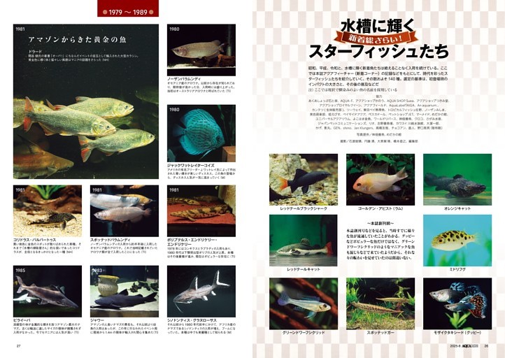 フィッシュマガジン2003年1年分（1〜12月号）アクアリウム雑誌 フィッシュマガジン2003年1年分（1〜12月号）アクアリウム雑誌
