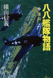 八八艦隊物語４　激浪