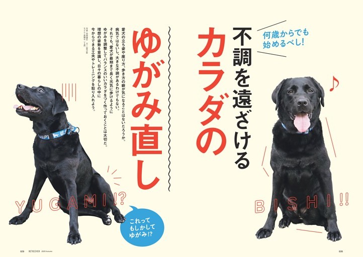 山口智子さん (ムック・増刊) | dマガジン