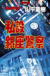 愚連隊列伝４　私設銀座警察